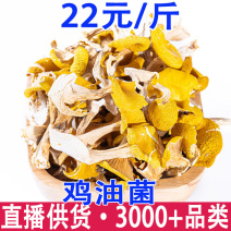 鸡油菌云南特产鸡油菌一件代发