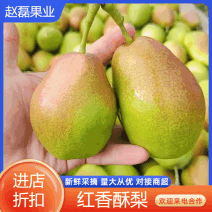 【汁多可口】红香酥梨保鲜发货赵县口感脆甜颜色鲜艳皮薄肉厚