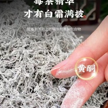 张家界永定区高山藤茶大量供应中品质保证口感细腻霉茶