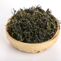 蒲公英蒲公英粉黄花地丁