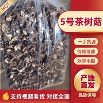 江西5号茶树菇干货大量供货品质保证诚信经营欢迎下单品尝