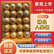 【现摘现发】精选云南石林人参果批发新鲜花纹亮果产地直发
