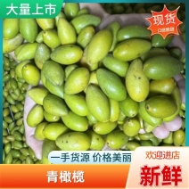 二号橄榄青橄榄产地直发长期大量供应可长期合作
