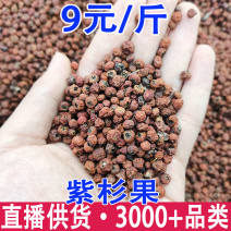 紫杉果火棘果一件代发量大从优