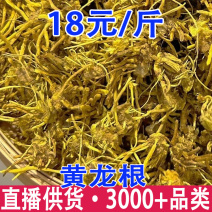 雪灵茶金龙根黄龙根一件代发量大从优