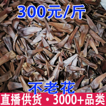 不老花山货天然不老花一件代发量大从优