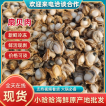 扇贝肉新鲜扇贝肉新鲜冷冻鲜活现剥扇贝肉海鲜火锅食材
