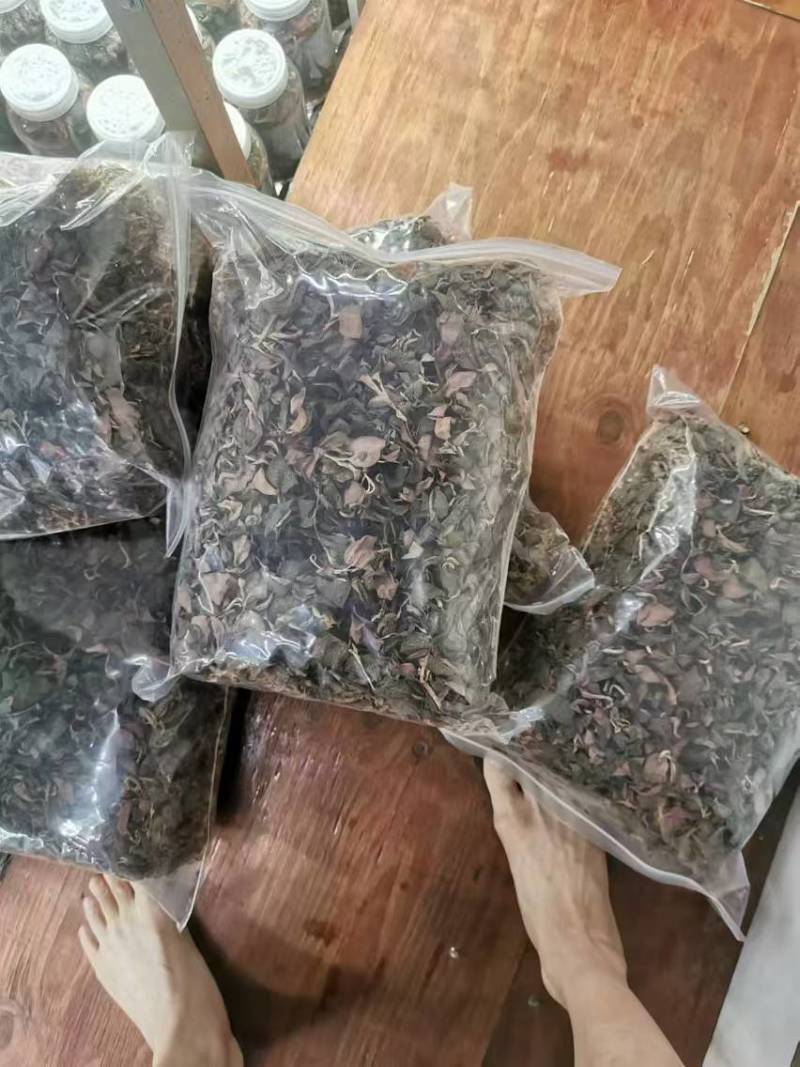 福建漳州南靖县金线莲 40.00元/斤金线莲