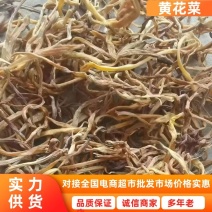 【黄花菜】大荔黄花菜自然晒干产地直发对接全国市场