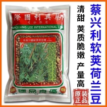 改良11号软荚荷兰豆种子红花清甜脆嫩基地种植