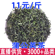 蒲公英茶蒲公英叶蒲公英一件代发量大从优