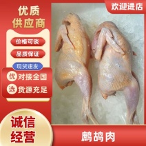 佛山鹧鸪肉基地直发量大优惠规格齐全欢迎进店咨询