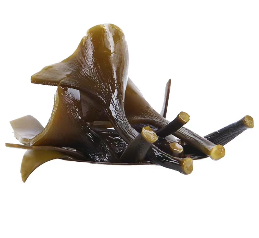 海带在海水中自然生长的状态,呈现深褐色 海带在水中漂浮的自然状态