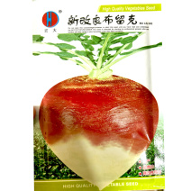 新改良布留克种子黄瓢布留克籽恰玛古圆蔓菁芜菁圆盘菜土苤蔬