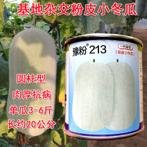 杂交豫粉213种子粉皮小冬瓜种子圆柱型圆柱型小冬瓜