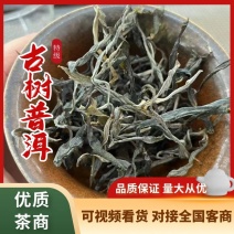 普洱，古树普洱茶，一件代发，精品货源，欢迎咨询