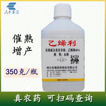 40%乙烯利水剂乙希利乙希力乙稀利农药调节剂香蕉催熟剂崔