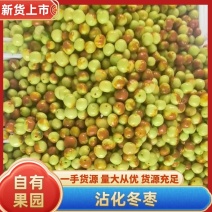 山东沾化冬枣冬枣现摘先发支持一件代发电商优选