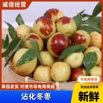 （精品）现摘现发沾化冬枣产地一手货源量大从优欢迎来电