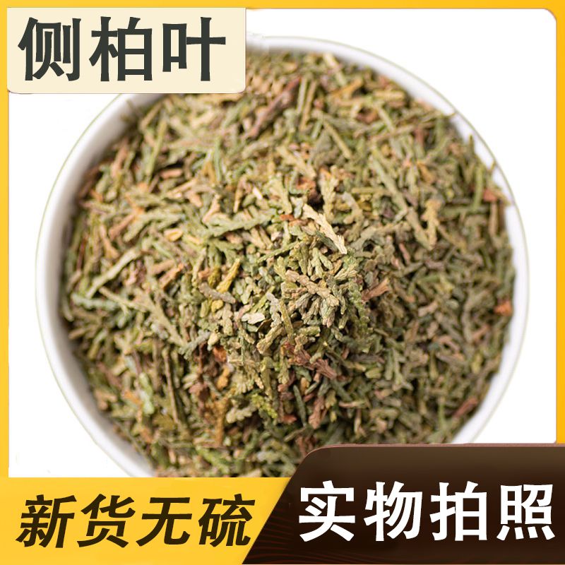 [侧柏叶批发]山东潍坊寿光市侧柏叶 4.90元/斤侧柏叶新鲜干柏 _ 一亩田