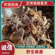 东北野生榛蘑大量现货供应，头茬小草蘑，无根过沫颜色黄