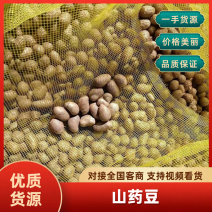 【实力推荐】山东山药/山药豆/对接电商批发市场加工厂