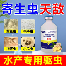 水产养殖驱虫草本植物萃取内外双驱寄生虫抑制驱除