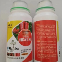 田果喜---辣椒催红素