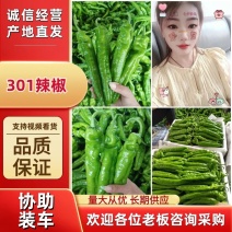 【热卖中】301尖椒山东鲜辣椒产地对接电商批发市场
