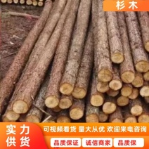 杉木杉木条大量供应质量保证全国发货欢迎咨询