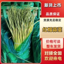 红帽蒜薹，江苏邳州产地直发对接电商商超量大从优，欢迎咨询