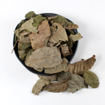 新货现磨青钱柳粉青钱李粉摇钱树粉