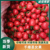 千禧圣女果-莘县小番茄-水果番茄-小西红柿-电商货