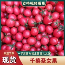 山东千禧圣女果贝贝/千禧圣女果红果小柿子电商市场商超