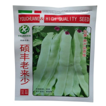 老来少芸豆种子白不老芸豆架豆种子春秋季耐热抗病高产