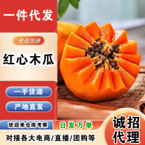 海南红心木瓜一件代发产地直发一手货源对接各大电商平台