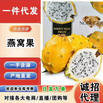 海南燕窝果一件代发产地直发一手货源对接各大电商平台