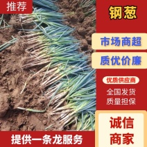 [牛]钢葱甘肃大葱大量供应产地直发提供一条龙服务欢迎咨询