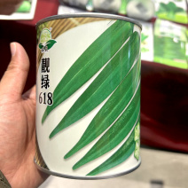 靓绿618水果秋葵种子杂交早熟绿秋葵黄秋葵种籽子菜园基