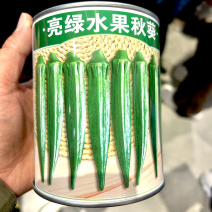 进口亮绿水果秋葵种子春夏季蔬菜种籽杂交高产种孑基地精选