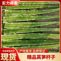 莴苣杆子，莴笋杆青皮绿肉不空心大量供应产地直发