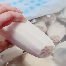 盐渍藕段，渭南精品藕断，现货速发，欢迎选购
