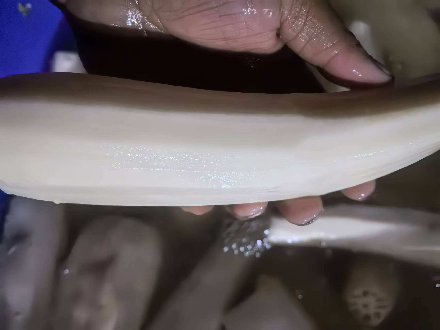 家庭厨房中正在清洗与切片白莲藕的场景