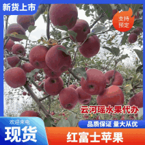 【买家点赞】丑苹果红富士诚信经营在线接单量大从优支持寄样