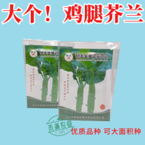 鸡腿芥兰种子大个头芥兰正宗大果蔬菜专用高产秋季种植抗病高