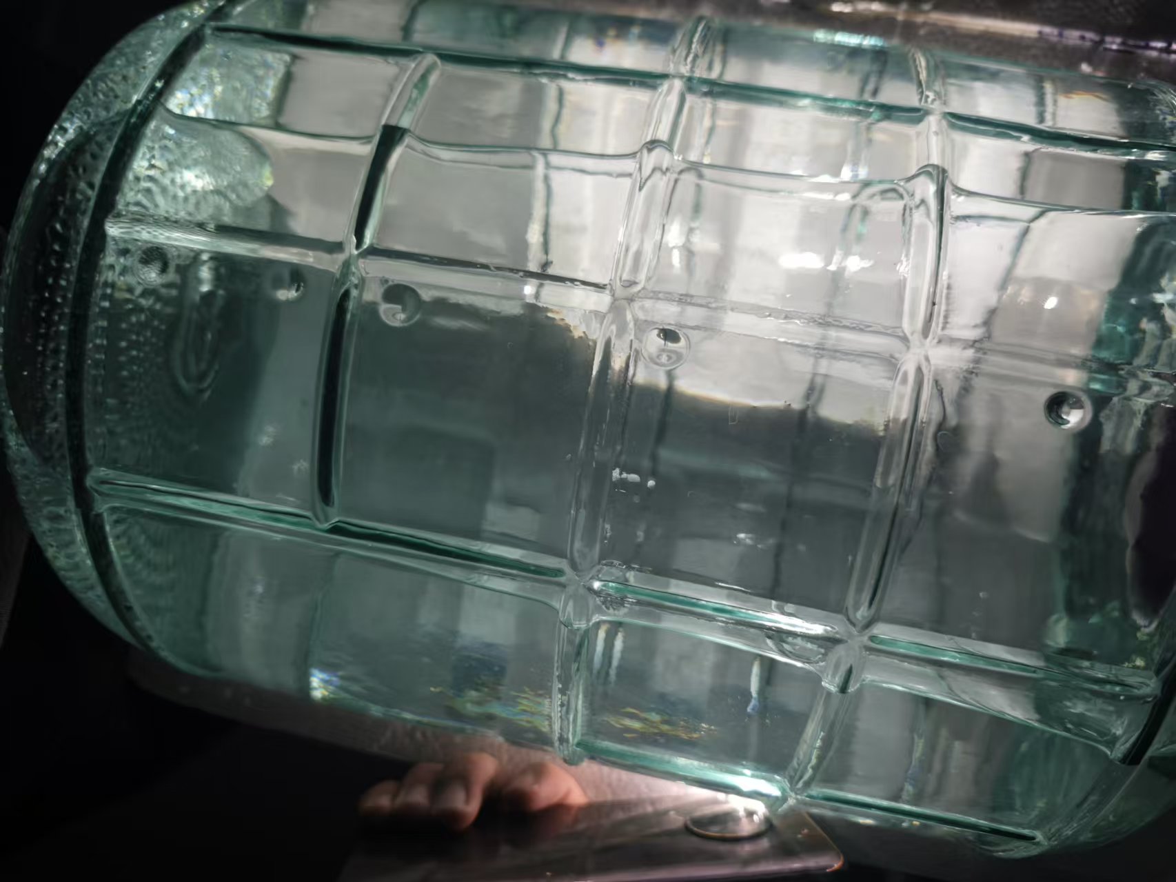 米酒泡木瓜成品展示