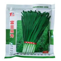 富韭黑秀韭菜种子早发宽叶白根韭菜种子高产耐寒基地