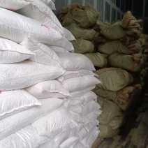 山药粉条工厂直销量大质优价格优惠一手货源量大质优