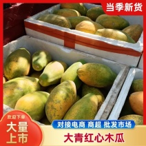精品木瓜产地直发一手货源有需要的老板可以联系
