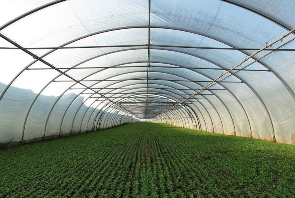 农业科技人员在实验室中进行植物育种研究